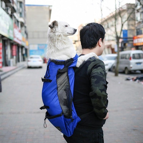 Double Shoulder Portable Pet Dog Carrier Backpack - Travel In Style
